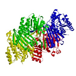 Image of CATH 4hkt