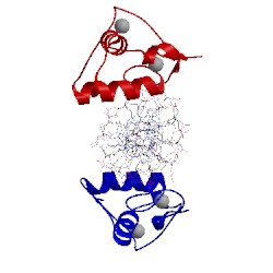 Image of CATH 4hn5