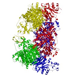 Image of CATH 4hnv