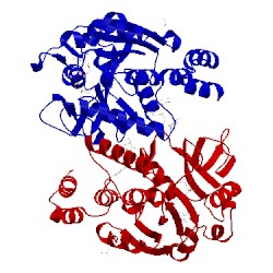 Image of CATH 4ho5