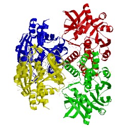 Image of CATH 4ho8