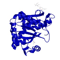 Image of CATH 4hoa