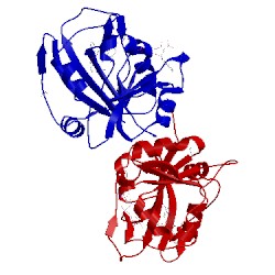 Image of CATH 4hoe