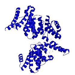 Image of CATH 4hoq