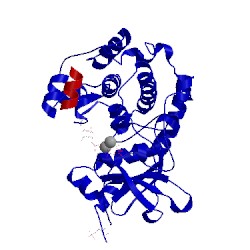 Image of CATH 4hpt