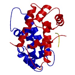 Image of CATH 4hrg