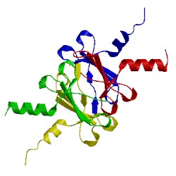 Image of CATH 4hsv