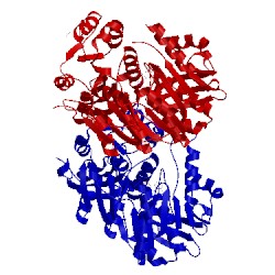 Image of CATH 4hv4