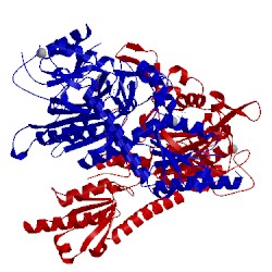 Image of CATH 4hvc