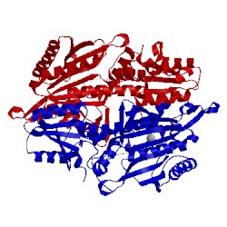 Image of CATH 4hwp