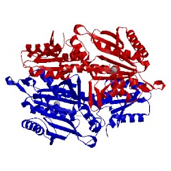 Image of CATH 4hws