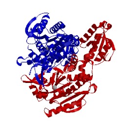 Image of CATH 4hwt