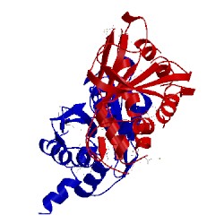 Image of CATH 4hyn