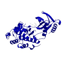 Image of CATH 4hys
