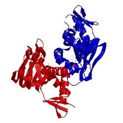 Image of CATH 4i09