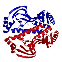 Image of CATH 4i0b