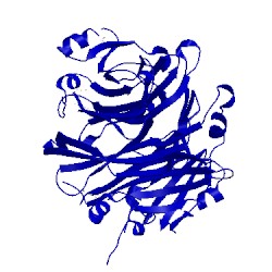 Image of CATH 4i0o