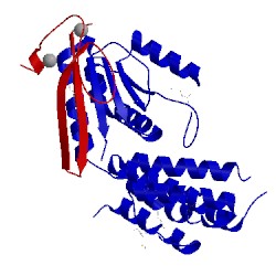 Image of CATH 4i1s
