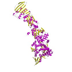 Image of CATH 4i3hA