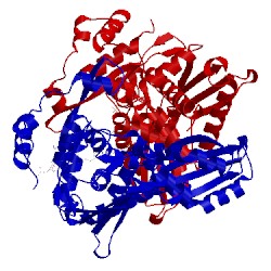 Image of CATH 4i56