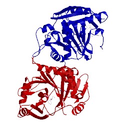 Image of CATH 4i5w