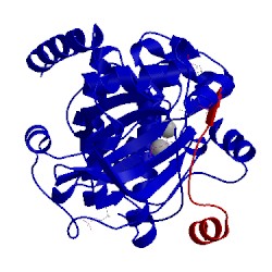 Image of CATH 4iac