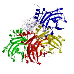 Image of CATH 4ibu