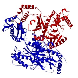 Image of CATH 4idk