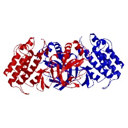 Image of CATH 4idt