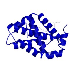 Image of CATH 4ieh