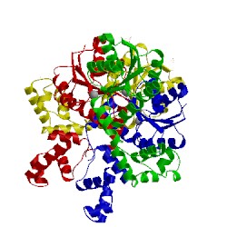 Image of CATH 4if4