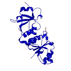 Image of CATH 4ifi