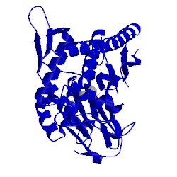 Image of CATH 4ifw