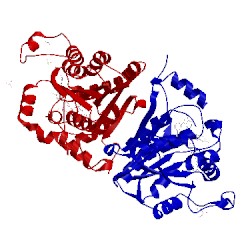 Image of CATH 4igf