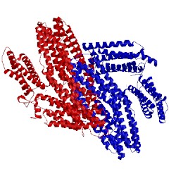 Image of CATH 4igg