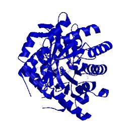 Image of CATH 4igh