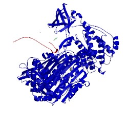 Image of CATH 4ii2