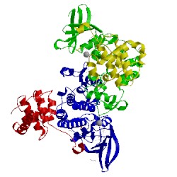 Image of CATH 4ii5