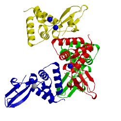 Image of CATH 4ije