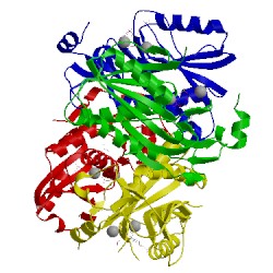 Image of CATH 4ijq