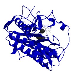 Image of CATH 4iks