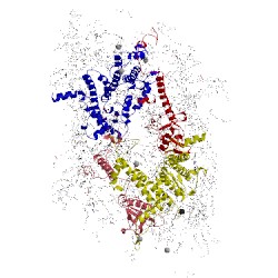 Image of CATH 4il6
