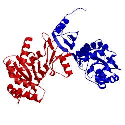 Image of CATH 4ilf
