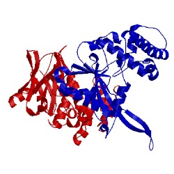 Image of CATH 4ilh