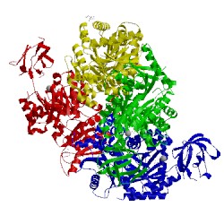 Image of CATH 4ima