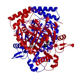 Image of CATH 4imu