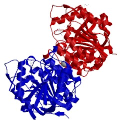 Image of CATH 4inj