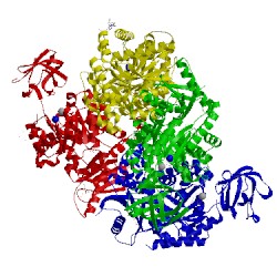 Image of CATH 4ip7