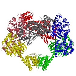 Image of CATH 4iq4