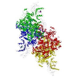 Image of CATH 4iqj